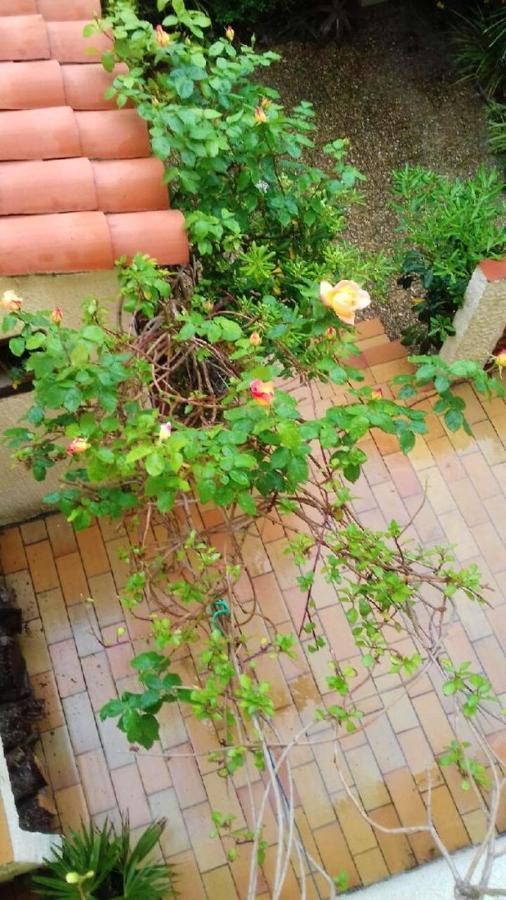Maison Charmante A Sainte-Marie Avec Grand Jardin Esterno foto